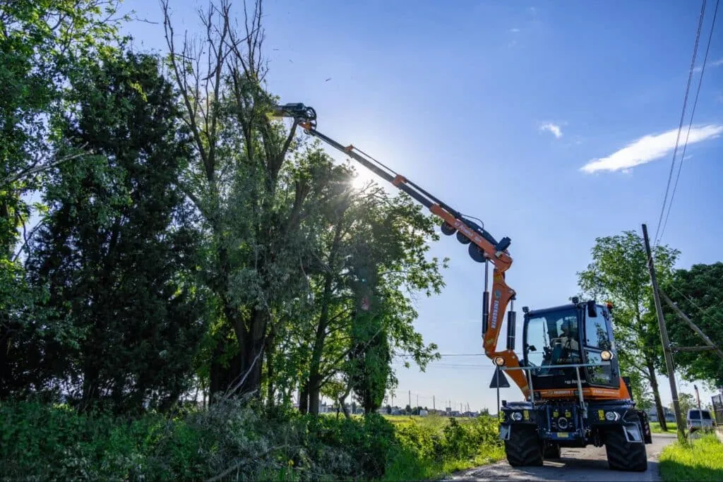 Efficient tree trimming using Energreen equipment in a rural setting under clear skies.