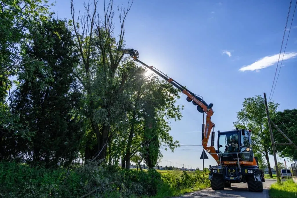 Tree trimming equipment at work, enhancing landscape and promoting safety in outdoor environments.